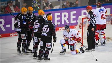 Eishockeyspieler in Aktion bei der Partie zwischen den Fischtown Pinguins und der Düsseldorfer EG.