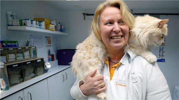 Die Tierärztin Petra Kracher hat in ihrer Praxis in München eine Katze auf der Schulter.