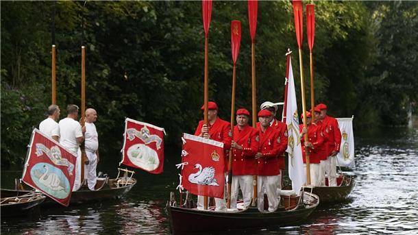 Warum König Charles Schwäne zählen lässt Die Tradition des „Swan Upping“ reicht mehrere Jahrhunderte zurück.