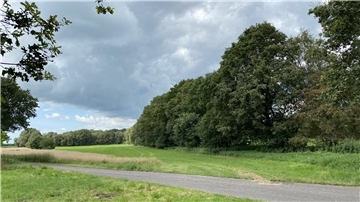 Eine ländliche Landschaft mit einem schmalen Weg, der durch grüne Wiesen und Felder führt. Auf der rechten Seite steht eine dichte Baumreihe, während im Hintergrund weitere Bäume und Felder zu sehen sind.