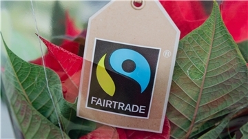 Die Umsätze im Handel mit fair gehandelten Produkten sind im vergangenen Jahr weiter gestiegen.
