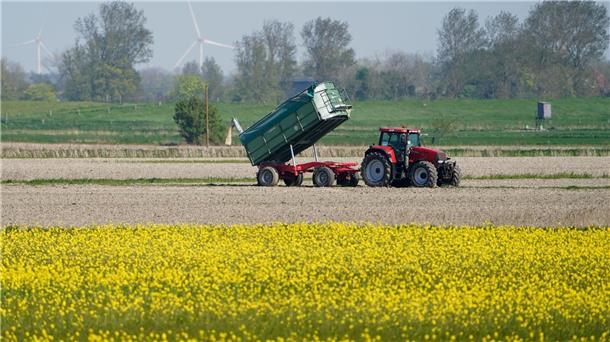 Die Umweltauflagen für Landwirte sollen auf EU-Ebene gelockert werden - das ist nicht unumstritten.