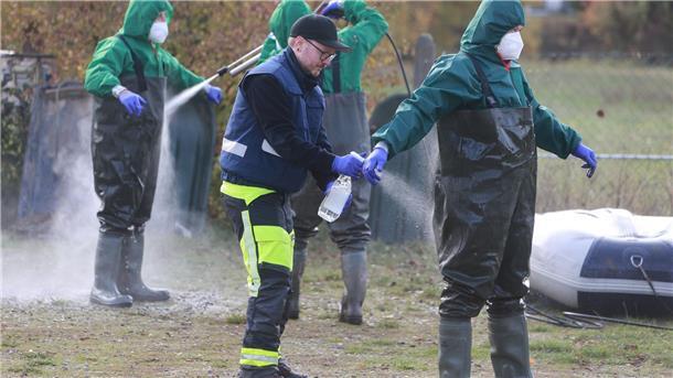 Bilder des Tages Die Vogelgrippe ist am Stausee Kelbra in Thüringen ausgebrochen.