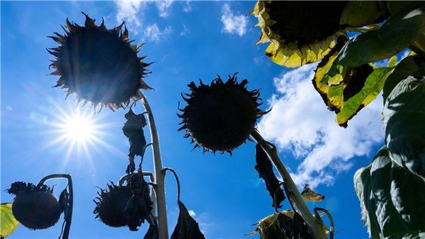 Die vom Menschen verursachte Erderwärmung erreicht bereits ein Plus von 1,14 Grad Celsius.