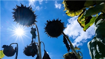 Die vom Menschen verursachte Erderwärmung erreicht bereits ein Plus von 1,14 Grad Celsius.