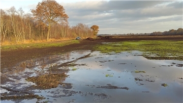 Bild von einer nassen Moorfläche