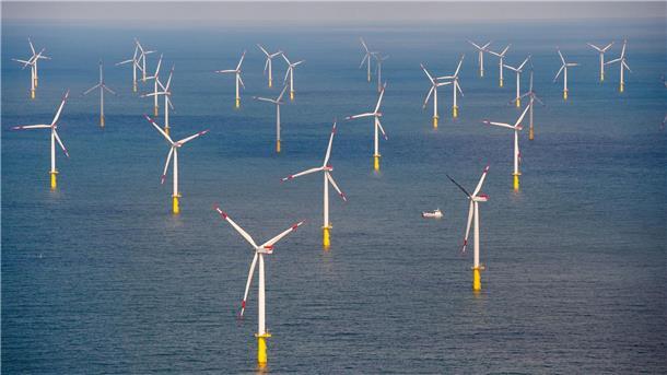 Höchstwert bei neuer Offshore-Windkraft in Europa Die Windbranche freut sich über gute Ausbauzahlen.