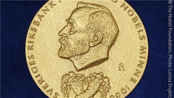 Nobelpreis ehrt Forschung zu stetigem Wirtschaftswachstum Die Wirtschaftsnobelpreisträger erhalten traditionell diese prestigeträchtige Nobelmedaille. (Archivbild)