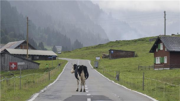 Wohin es deutsche Auswanderer zieht „Die Zahl der Deutschen mit Wohnsitz in der Schweiz steigt seit Jahren kontinuierlich“, berichtete die Statistikbehörde. Binnen zehn Jahren erhöhte sich die Zahl der Deutschen in der Schweiz um 10,7 Prozent. (Archivfoto)