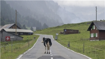 „Die Zahl der Deutschen mit Wohnsitz in der Schweiz steigt seit Jahren kontinuierlich“, berichtete die Statistikbehörde. Binnen zehn Jahren erhöhte sich die Zahl der Deutschen in der Schweiz um 10,7 Prozent. (Archivfoto)