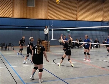Volleyball Zeven