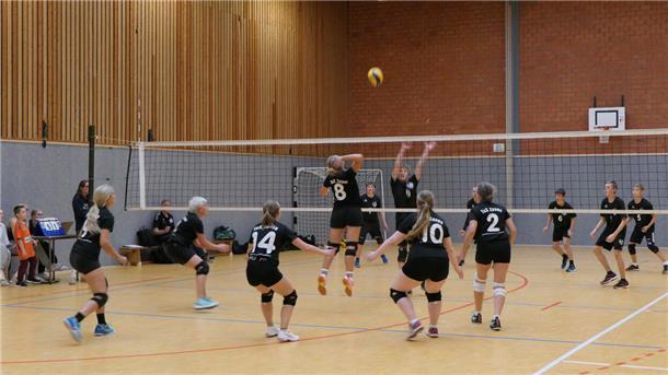 Volleyball TuS Zeven