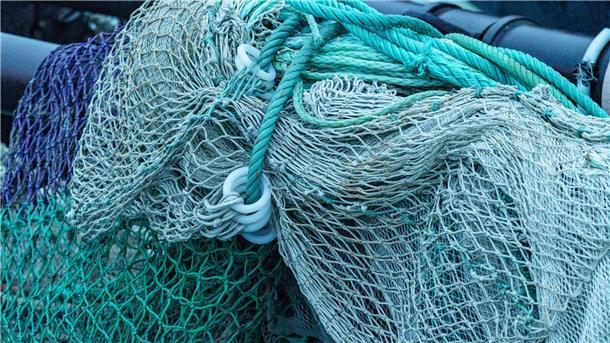 Nordseefischer dürfen mehr Kabeljau fangen Die EU-Staaten haben sich auf einen strengen Schutz von Aalen und Fangmengen für Kabeljau geeinigt.
