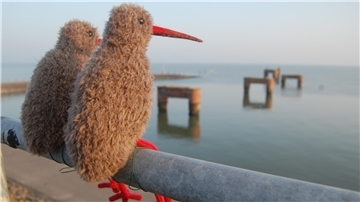 Zwei Strickvögel schauen auf das Wattenmeer hinaus. Sie stammen von Theda Garnholz aus Butjadingen. 