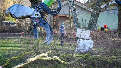 Diese Fällaktion dürfte ein Nachspiel haben: Offenbar ohne ausreichende naturschutzrechtliche Grundlage sind im Februar drei alte Bäume auf dem Jägerhof-Grundstück gefällt worden.