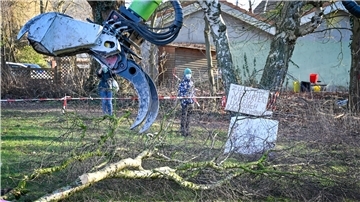 Diese Fällaktion dürfte ein Nachspiel haben: Offenbar ohne ausreichende naturschutzrechtliche Grundlage sind im Februar drei alte Bäume auf dem Jägerhof-Grundstück gefällt worden.