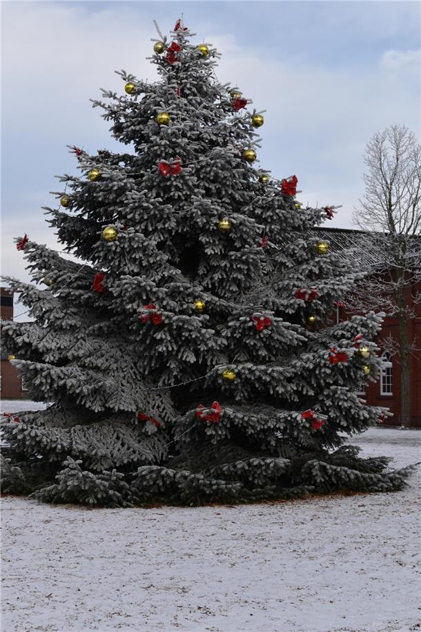 Dieser große Weihnachtsbaum auf dem Marktplatz in Rodenkirchen weist auf das Fest der Liebe hin. Ab 2023 soll es zu der Gelegenheit auch wieder Geschenke für Senioren geben.
