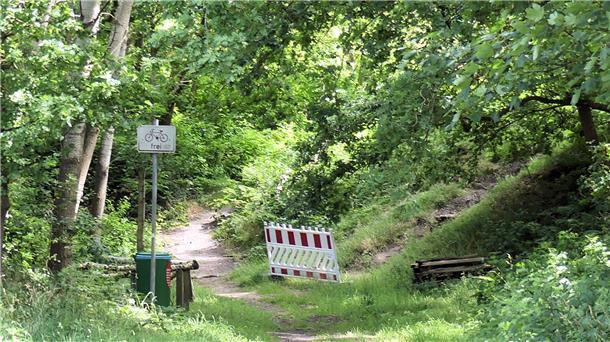 Ortsrat Sievern: Diskussion um Straßenausbau und Pipinsburg-Zugänge Treppenaufgang im Waldgebiet, abgesperrt mit einer rot-weißen Warnbake. Die Holztreppe ist von nassem Laub bedeckt, ein Geländer liegt beschädigt am Hang.