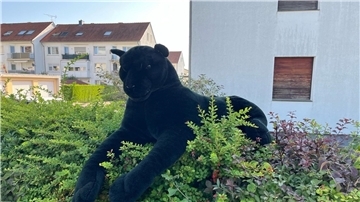Dieses Plüschtier hat einen Einsatz der Polizei ausgelöst.