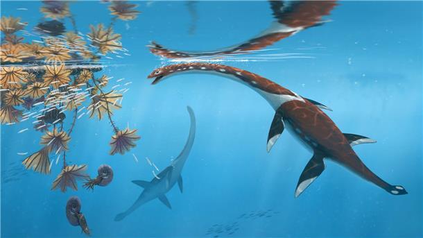 Megalanges Meeresreptil Dieses Urtier ist eine neue Art, berichtet ein Forscherteam.