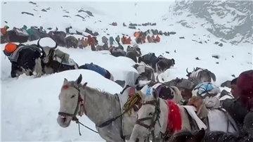 Dorfbewohner stiegen mit Pferden und Ochsen auf den Mount Everest, um zu den Wanderern zu gelangen. (Archivbild)