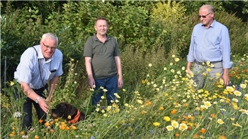 Das Foto zeigt Hans-Hinrich Pape, Hinrich Brandt und Johannes Wohlers in einem Blühstreifen. 