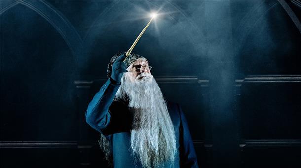 Dumbledore mischt auch nach seinem Tod noch magisch mit.