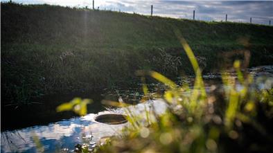 Durch dieses Rohr wird das Wasser aus dem Graben in das Reinigungsbecken gepumpt.