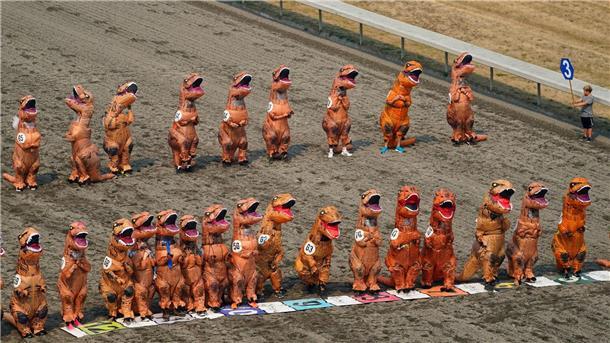 T-Rex-Kostümrennen mit über 200 Läufern Dutzende von Teilnehmern in aufblasbaren T-Rex-Kostümen stellen sich für die ersten Läufe der T-Rex World Championship Races in Emerald Downs auf.