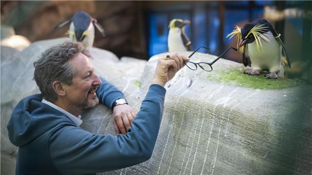 Ein Mann, einem Pinguin seine Brille hinhält.