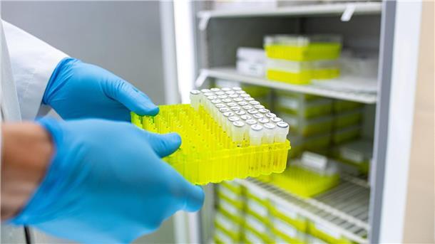 Ehec: Inzwischen zehn Kinder und zwei Erwachsene erkrankt Ehec steht für enterohämorrhagische Escherichia coli und bezeichnet bestimmte krankmachende Stämme dieses im Darm vorkommenden Bakteriums.