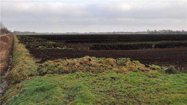 Ein abgetorftes Moor in der mittleren Wesermarsch. Dort wird auf Moorböden auch Landwirtschaft betrieben. Sollten die Flächen aus Klimaschutzgründen alle vernässt werden, wie es die Bundesregierung vorhat, würde der Wertverlust für die Landwirte enorm sein.