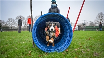 Ein Besuch beim Hundetraining von Canan Matthießen.