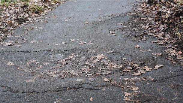 Schadhafte Radwege in Tiste: Senioren haben Angst vor schweren Stürzen Das Bild zeigt einen schadhaften Radweg.