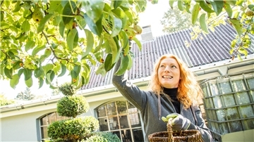 Ein Birnbaum im Garten sieht gut aus und beschert oft schmackhafte Früchte. Wer einen solchen Baum pflanzen möchte, sollte allerdings einiges beachten.