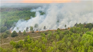 Ein Blick auf das Waldbrandgebiet in Jüterbog aus einem Hubschrauber der Bundespolizei.
