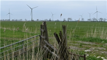 Ein Blick auf den Windpark Rodenkircherwurp mit den östlich davon gelegenen landwirtschaftlich genutzten Flächen.