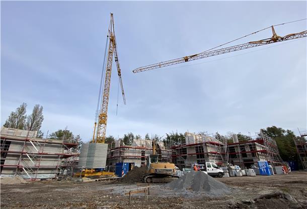 Ein Blick auf die Baustelle: Fünf Gebäude sind bereits so weit errichtet, dass in Kürze die Zimmerer für den Dachstuhl anrücken werden.