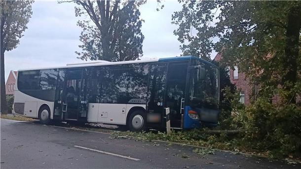 Elfjähriges Kind wird von Bus erfasst und stirbt Ein Busfahrer konnte im Landkreis Ammerland nicht mehr einem elfjährigen Kind ausweichen, das mit seinem Rad plötzlich auf die Straße fuhr.