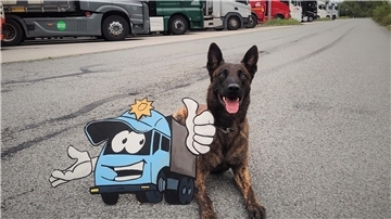 Ein Diensthund der Polizei freut sich auf seine Arbeit.