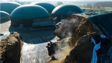 Mit einem Radlader wird Maissilage in die Biogasanlage gefahren (