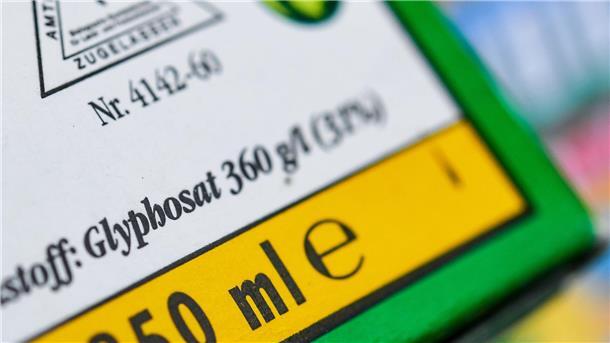 Glyphosat: Verlängerung der Zulassung wahrscheinlicher Ein Entwurf der EU-Kommission sieht eine Zulassungsverlängerung für Glyphosat um zehn Jahre vor.