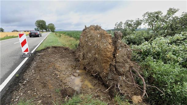 Verletzte nach heftigen Unwettern im Süden und Westen Ein entwurzelter Baum an der L270 bei Betzenweiler in Baden-Württemberg.