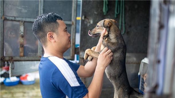 „Welpenmast“ in Vietnam: Wo Hunde durch die Hölle gehen Ein Farmbesitzer nimmt Abschied von einem Hund.