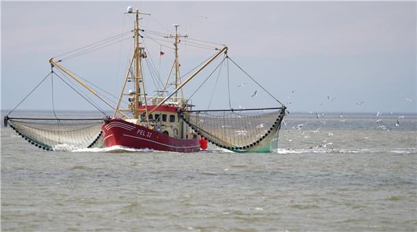 Ein Fischkutter ist auf der Nordsee vor der Insel Pellworm zu sehen.