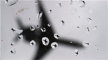 Ein Flugzeug landet bei Regenwetter. (Symbolbild)