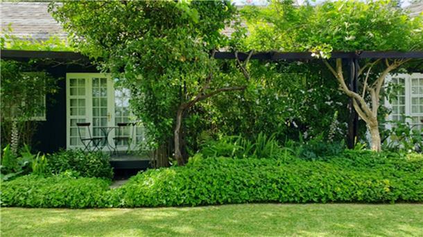 Smarte Gartenpflege: Mähroboter im Alltag Blick auf einen gepflegten Rasen, mit Haus im Hintergrund.
