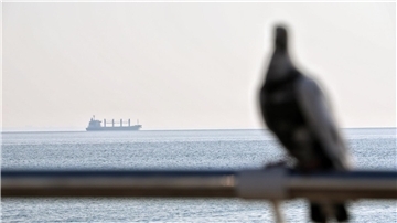 Ein Getreidefrachter im Schwarzem Meer vor Odessa. (Symbolbild)