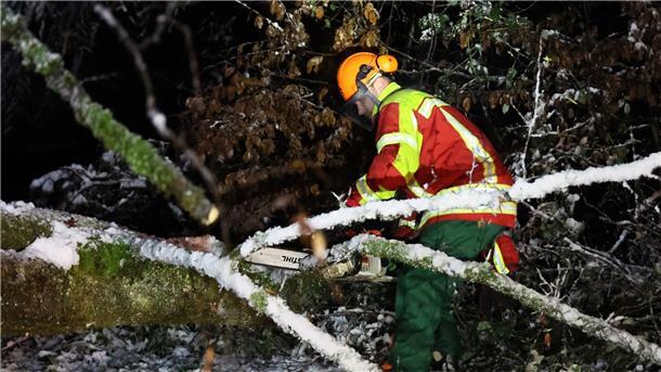 Wintereinbruch bringt den Verkehr ins Schleudern Ein Helfer zersägt in der Nähe von Bessenbach im unterfränkischen Landkreis Aschaffenburg einen Baum, der nach starkem Schneefall umgestürzt ist.