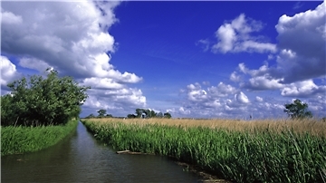 Ein idyllischer Blick auf das Naturschutzgebiet Strohauser Plate.